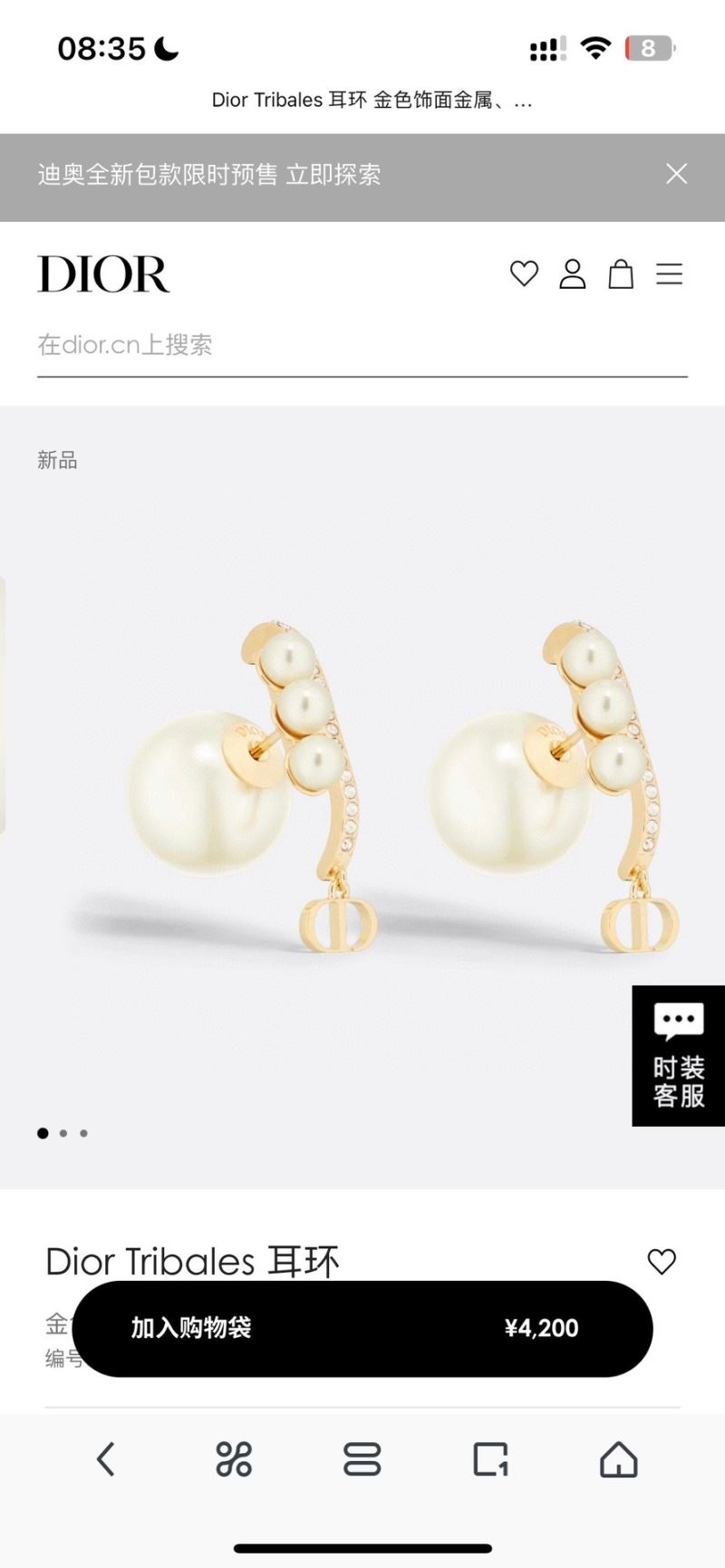 Christian Dior Earrings